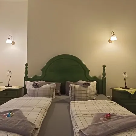 Hotel Villa Alice-3